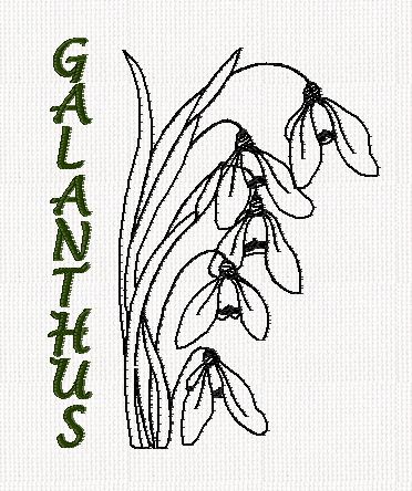 botanical-galanthus-flower-redwork-embroidery