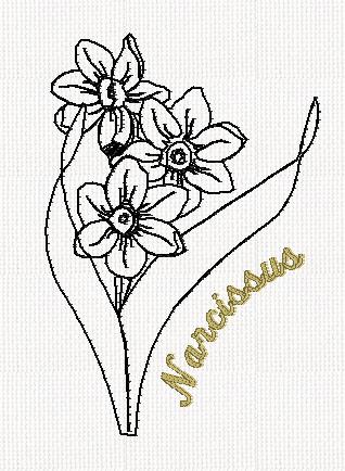 botanical-narcissus-flower-redwork-embroidery