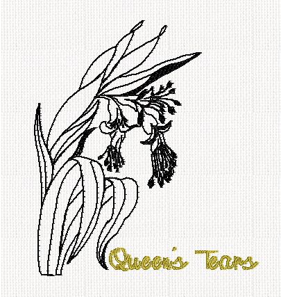 botanical-queens-tears-flower-redwork-embroidery