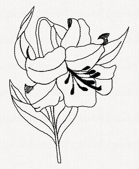 abc-lily-redwork-embroidery