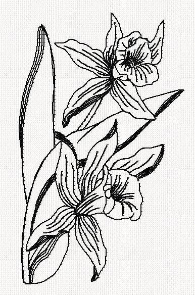 orchid-flower-redwork-embroidery