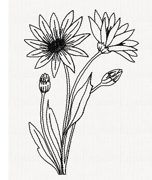 xeranthemum-flower-redwork-embroidery