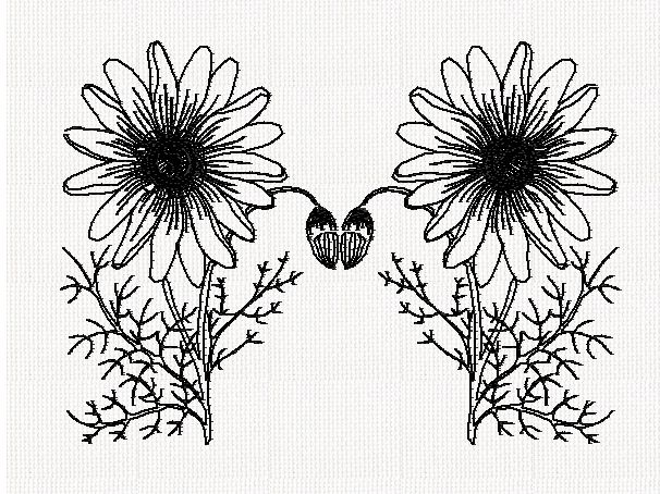 ursinia-double-redwork-machine-embroidery
