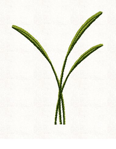 egyptian-fronds-plant-embroidery