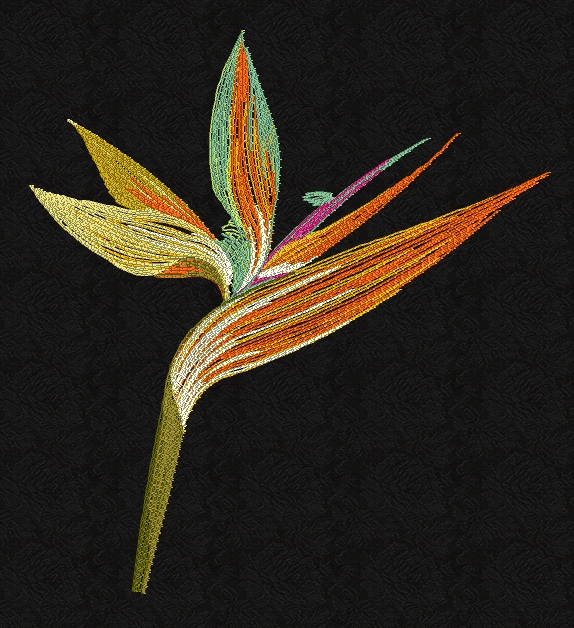 bird-of-paradise-flower-filled-embroidery