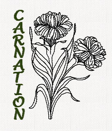 botanical-carnation-flower-redwork-embroidery
