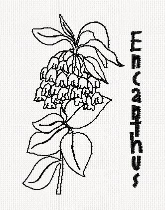 botanical-encanthus-flower-redwork-embroidery