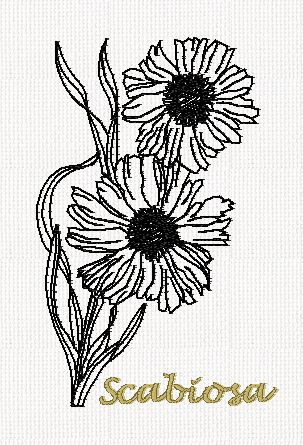 botanical-scabiosa-flower-redwork-embroidery