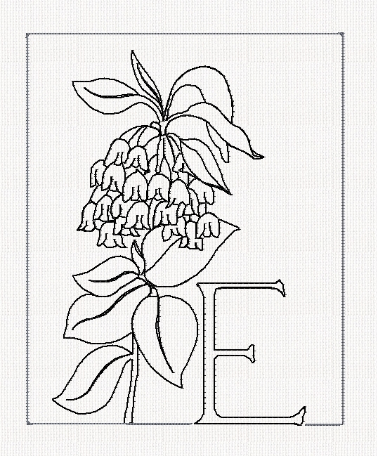 abc-e-encanthus-lines-flowers-redwork-embroidery