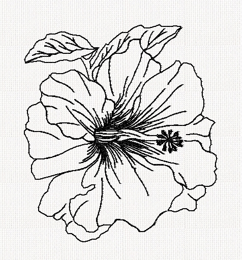 hibiscus-redwork-embroidery