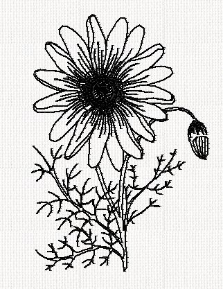 ursinia-flower-redwork-embroidery