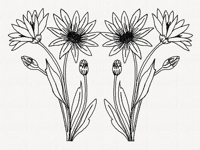 xeranthemum-flower-dbl-redwork-embroidery