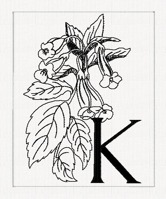 abc-k-kohleria-filled-flowers-redwork-embroidery