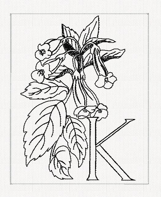 abc-k-kohleria-lines-flowers-redwork-embroidery