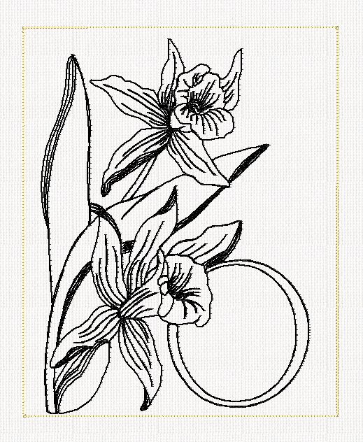 abc-o-orchid-lines-flowers-redwork-embroidery