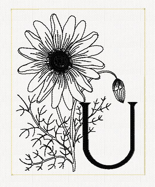 abc-u-ursinia-filled-flowers-redwork-embroidery