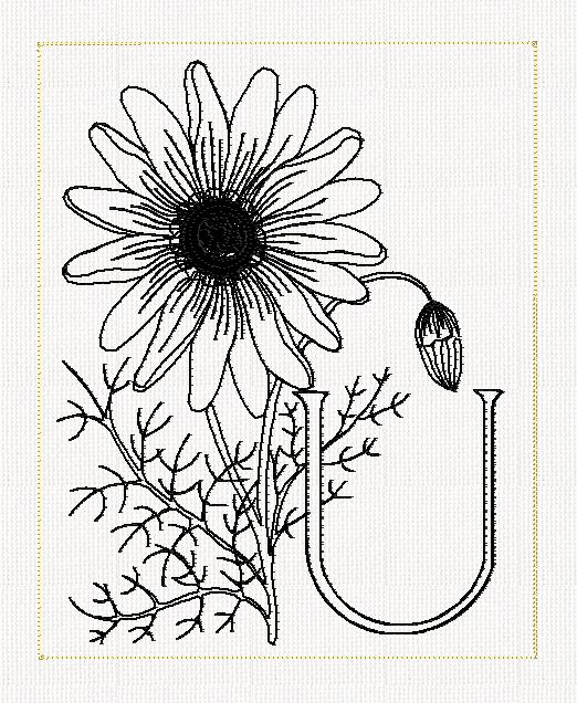 abc-u-ursinia-lines-flowers-redwork-embroidery