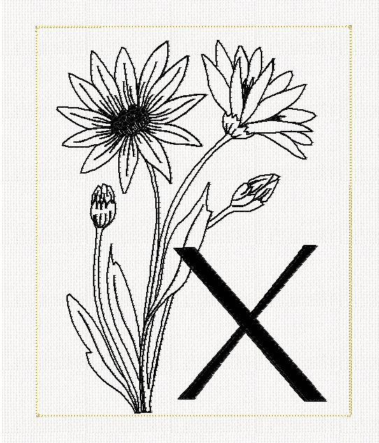 abc-x-xeranthemum-flower-filled-flowers-redwork-embroidery