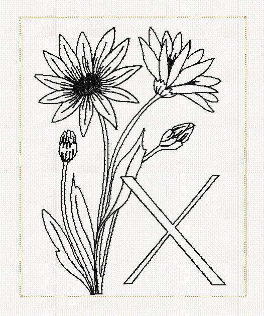 abc-x-xeranthemum-flower-lines-flowers-redwork-embroidery