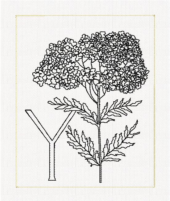 abc-y-yarrow-flower-lines-flowers-redwork-embroidery