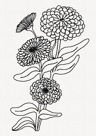 zinnia-flower-redwork-embroidery