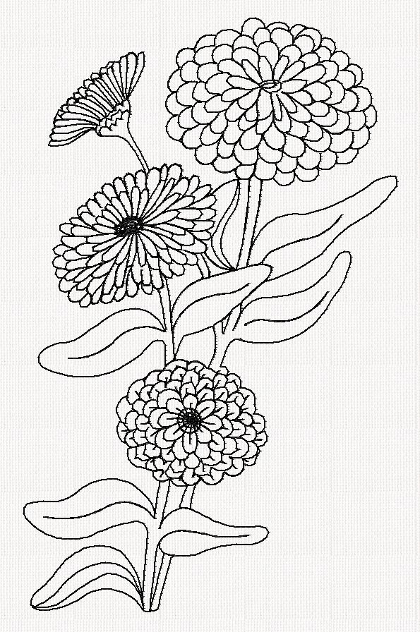 zinnia-flower-redwork-embroidery
