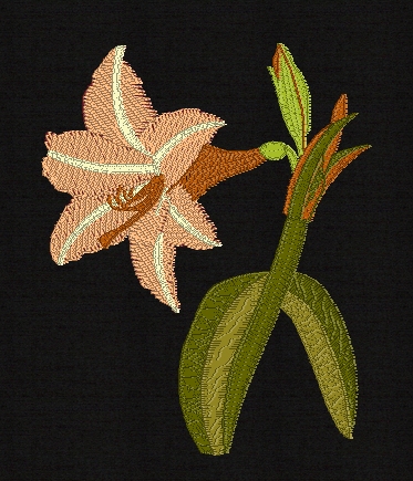 amaryllis-filled-embroidery