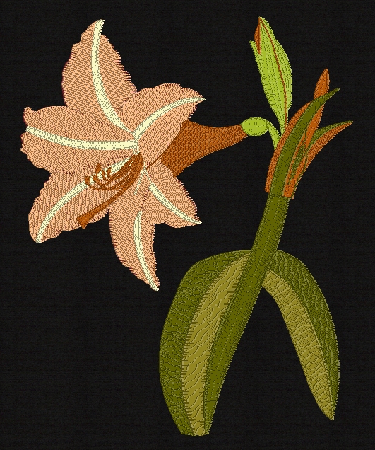 amaryllis-filled-embroidery