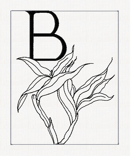 abc-b-bird-of-paradise-filled-redwork-embroidery
