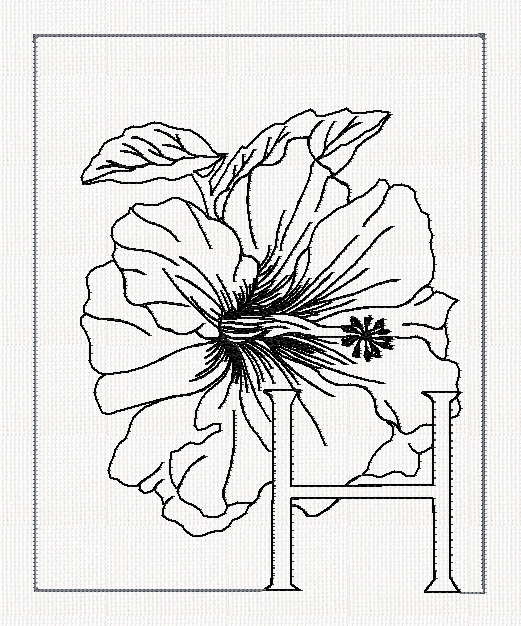 abc-h-hibiscus-lines-flowers-redwork-embroidery