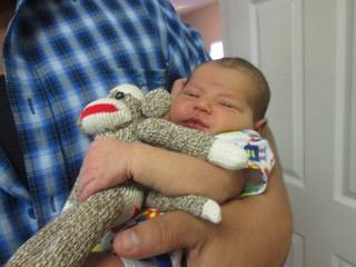 Dom-sock-monkey-Jennifer Wheatley-Wolf