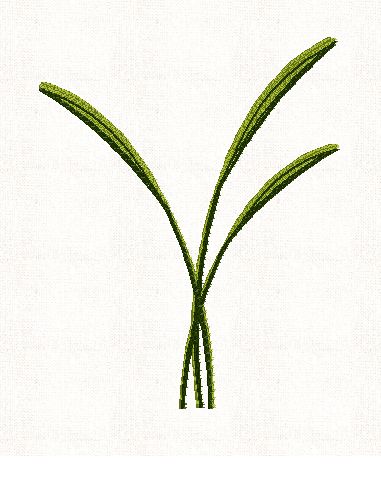 egyptian-fronds-plant-embroidery
