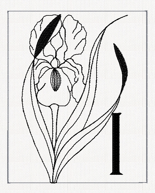 abc-i-iris-filled-flowers-redwork-embroidery