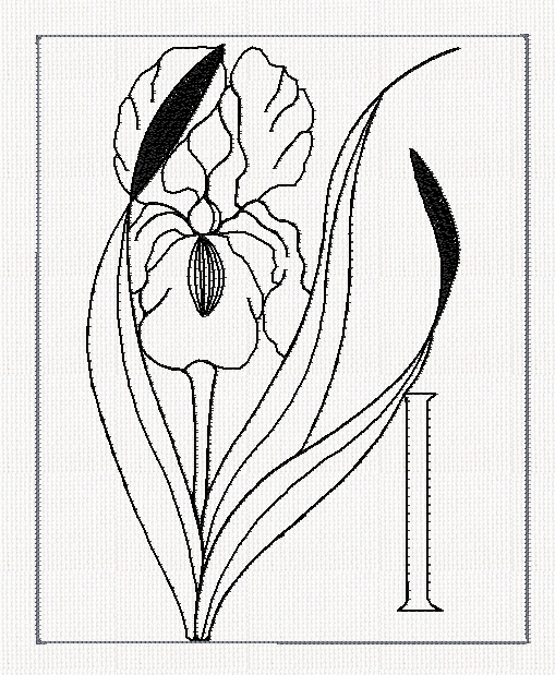 abc-i-iris-lines-flowers-redwork-embroidery