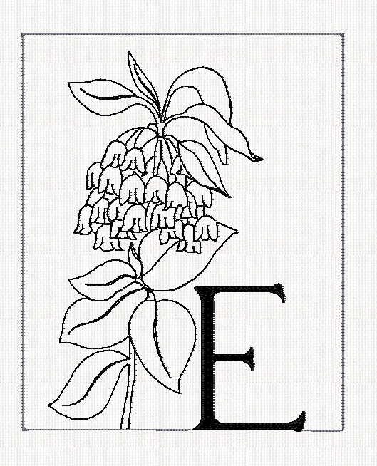 abc-e-encanthus-filled-flowers-redwork-embroidery