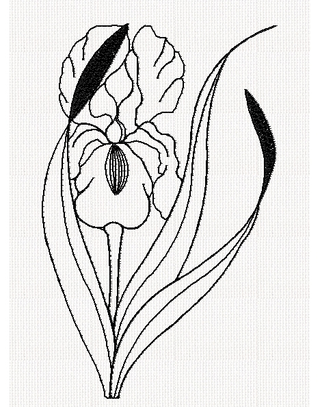 iris-redwork-embroidery