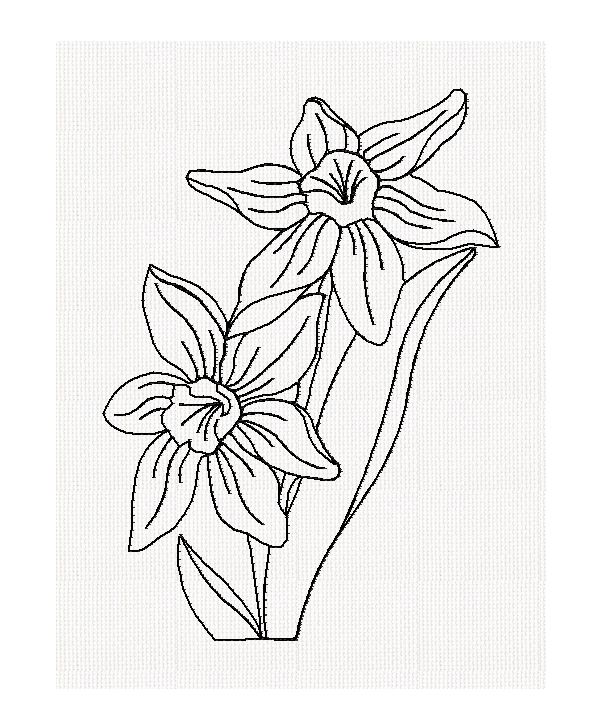 jonquil-redwork-embroidery
