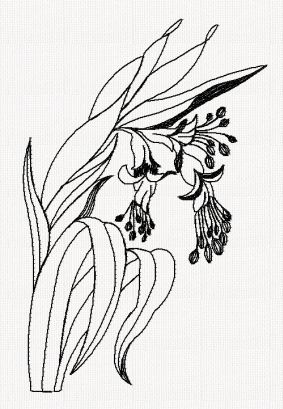 queens-tears-flower-redwork-embroidery