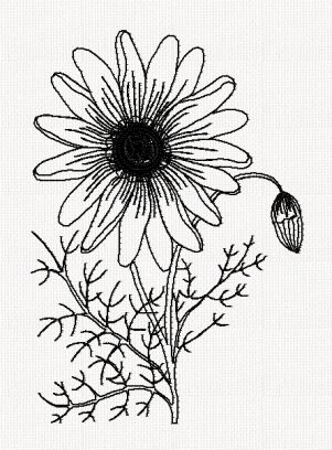 ursinia-flower-redwork-embroidery