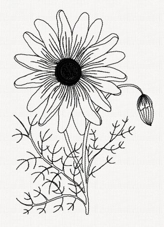 ursinia-flower-redwork-embroidery
