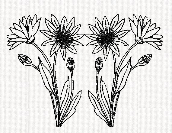 xeranthemum-flower-dbl-redwork-embroidery