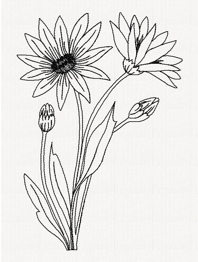 xeranthemum-flower-redwork-embroidery