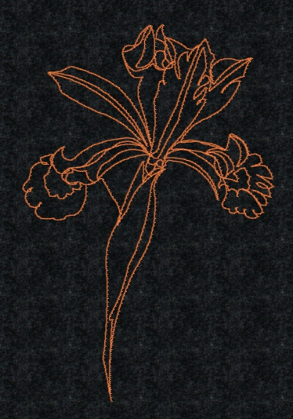 iris-redwork-embroidery