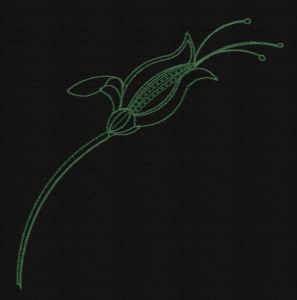 floral-redwork-embroidery