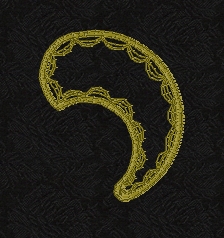 paisley-lace-embroidery