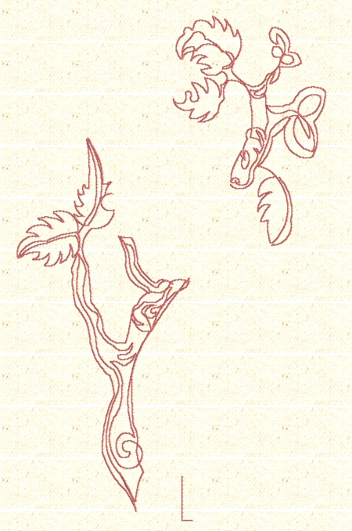 peacock-redwork-asian-secret-embroidery