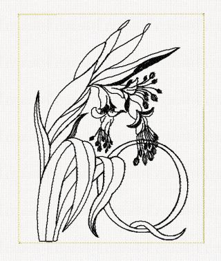 abc-q-queens-tears-lines-flowers-redwork-embroidery