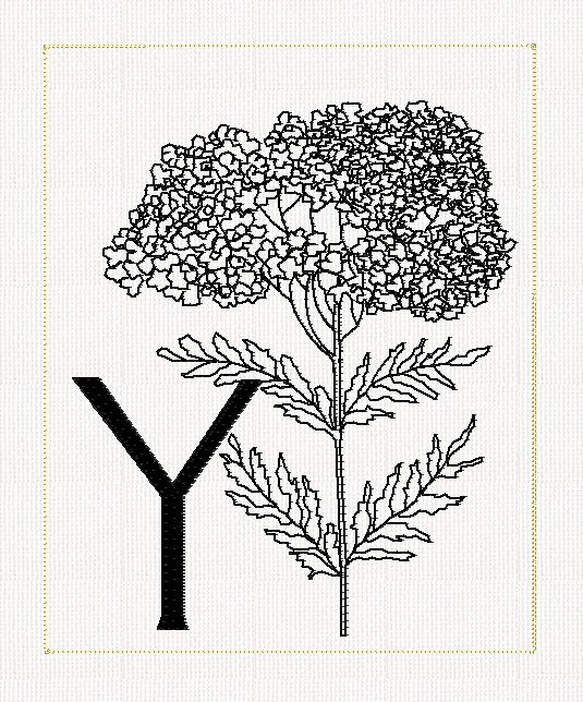 abc-y-yarrow-flower-filled-flowers-redwork-embroidery