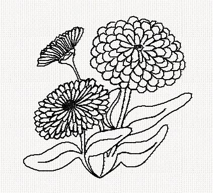 zinnia-flower-redwork-embroidery